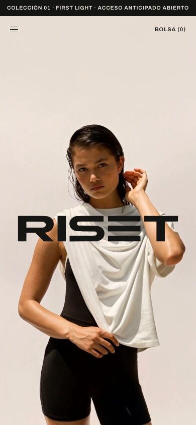 The RISET website on mobile